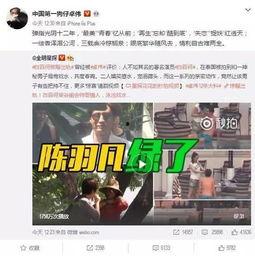 泰安出轨爆料视频最新,真相与争议交织